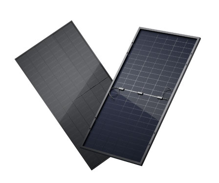 panel solar bifacial