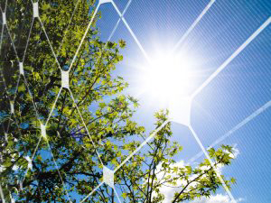¿Cuántos paneles solares pueden cubrir el consumo de electricidad de los hogares?