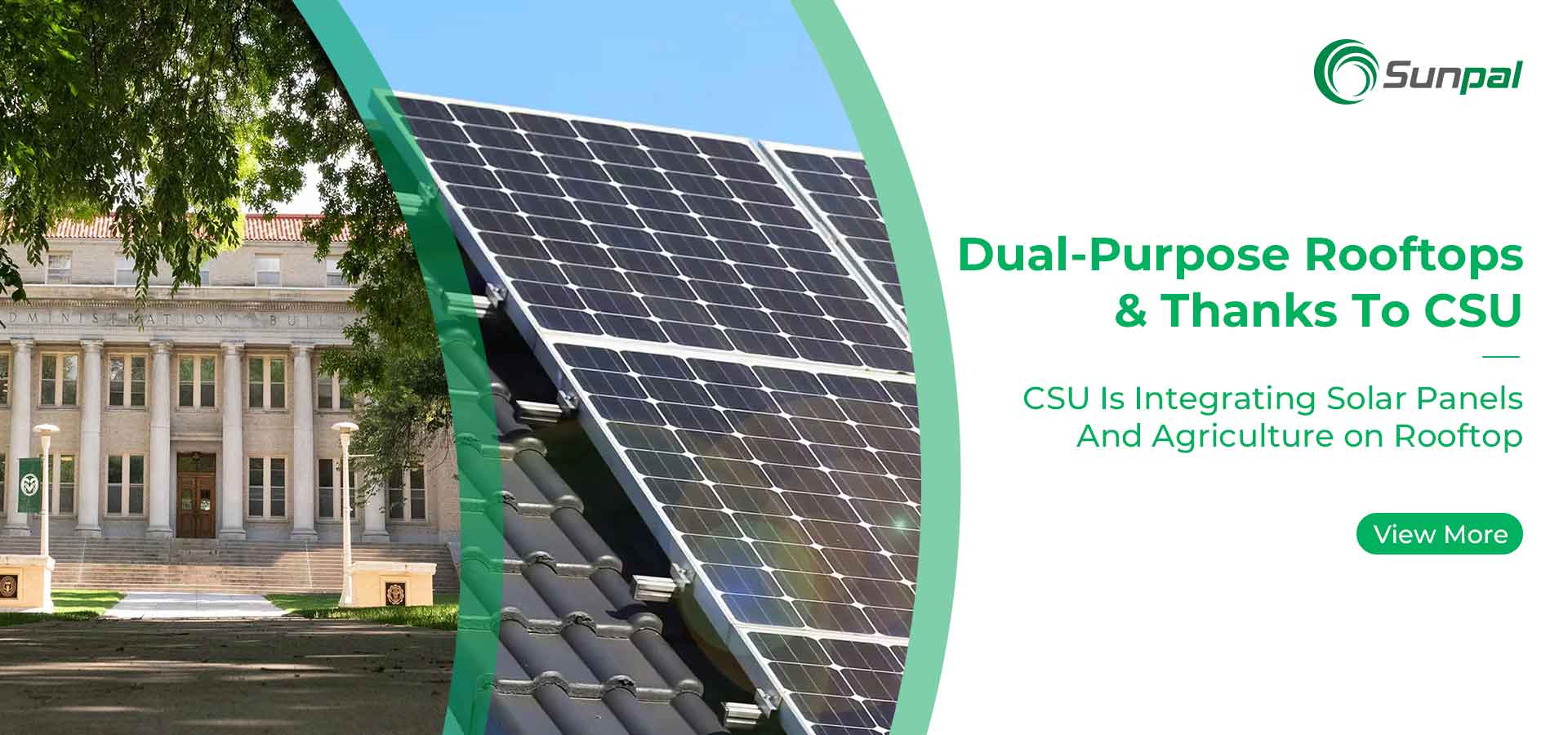Tejados de doble propósito: combinación de energía solar y agricultura