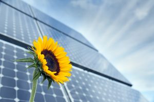 jinko solar firma el primer lote de pedidos de almacenamiento de energía doméstica de vietnam
