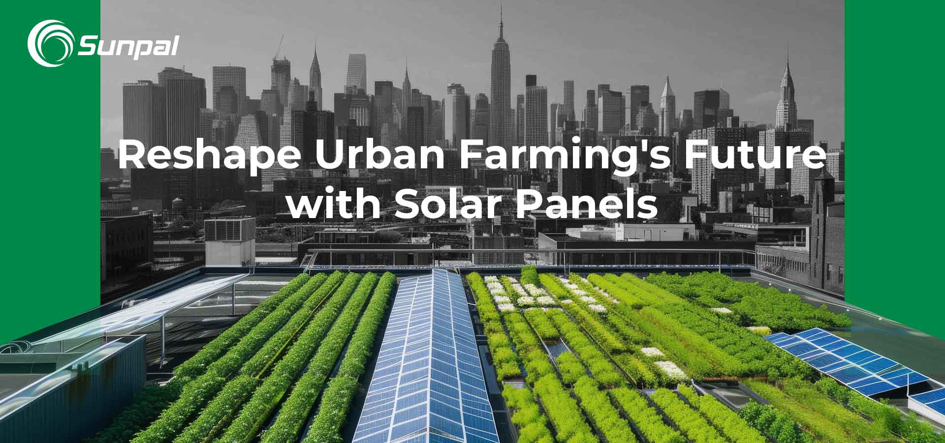 Tejados solares: remodelando el futuro de la agricultura urbana